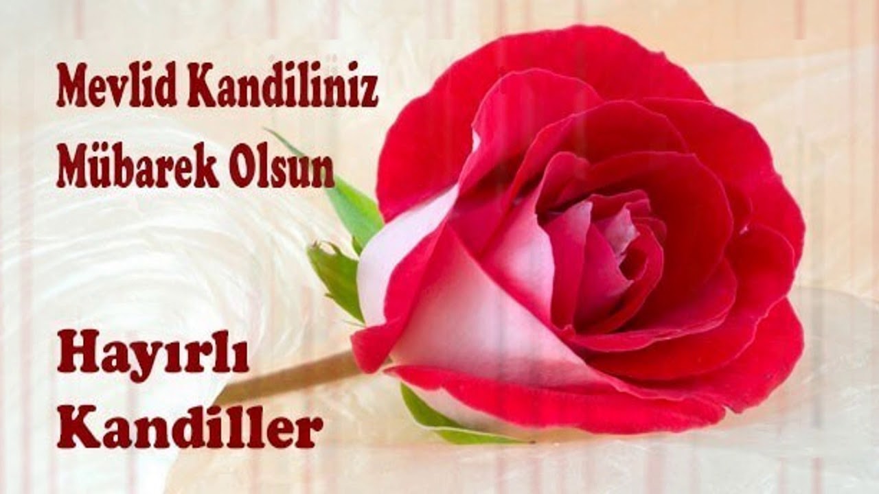 En güzel, anlamlı, dualı, hadisli Mevlid Kandili mesajları | Mevlid Kandili resimli mesajları 2022