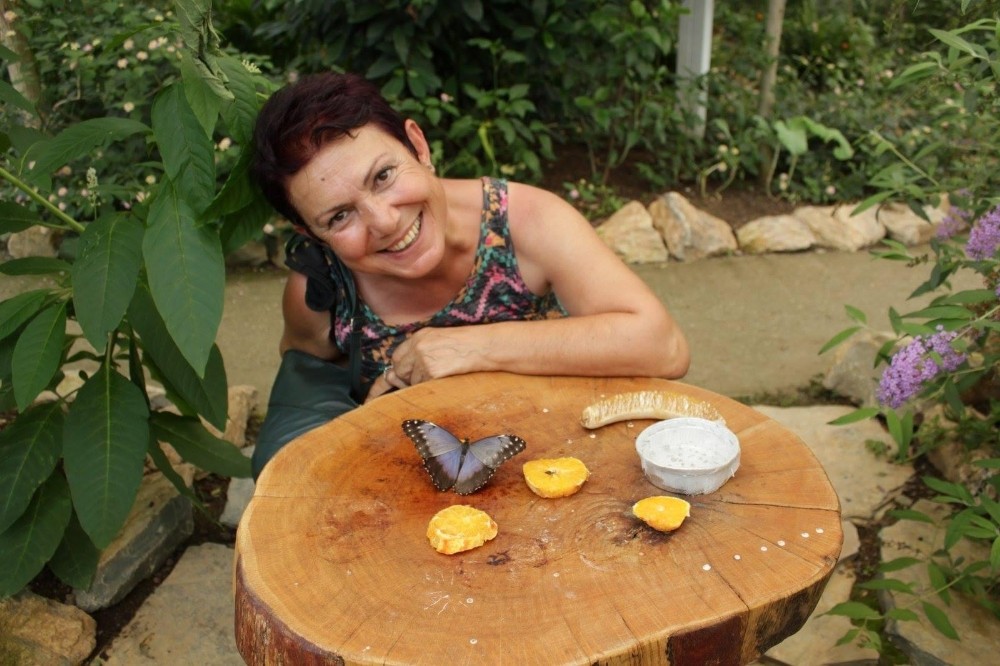 Doğa fotoğrafçısından dev tutku: Kelebekler