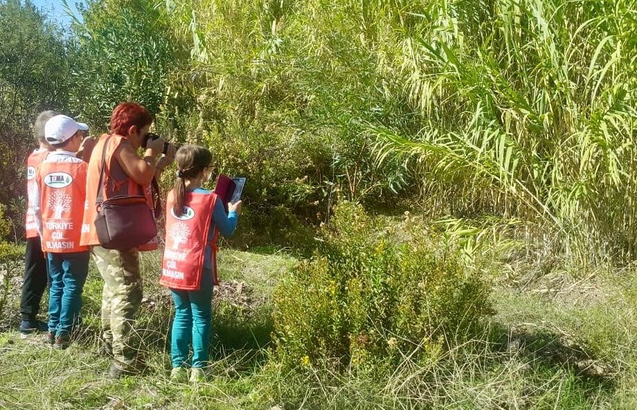 Doğa fotoğrafçısından dev tutku: Kelebekler