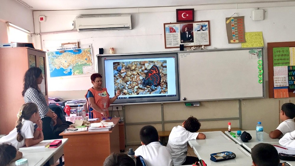 Doğa fotoğrafçısından dev tutku: Kelebekler