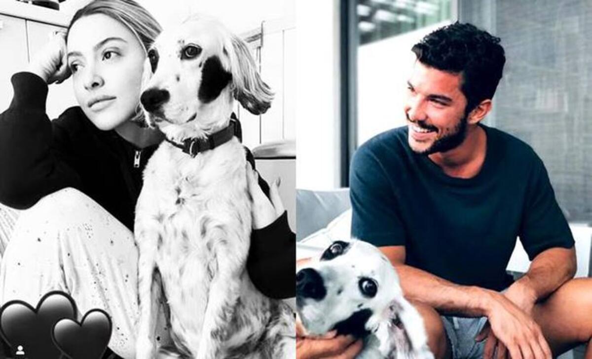 Hadise ve Kaan Yıldırım evlilik hazırlıklarına başladı