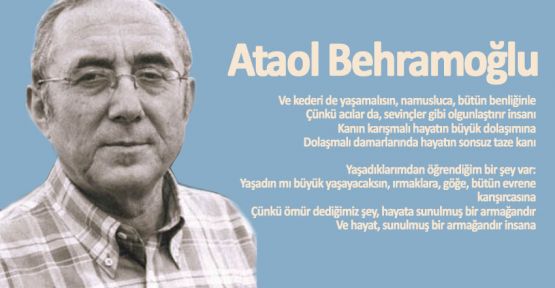 Ataol Behramoğlu'na yanıt: Hayır sizin!