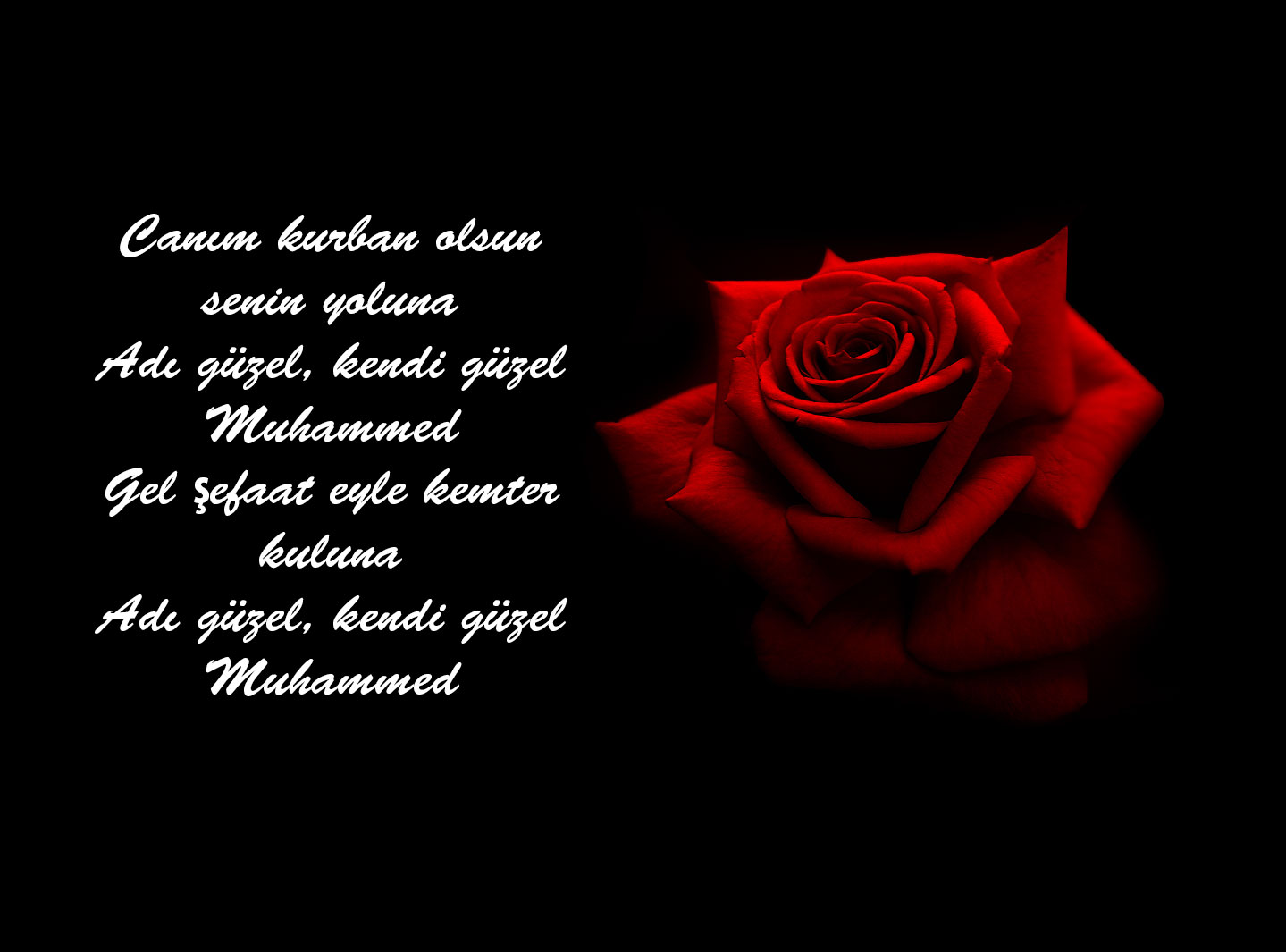 Resimli Mevlid Kandili mesajları 2020 en güzel kısa, uzun