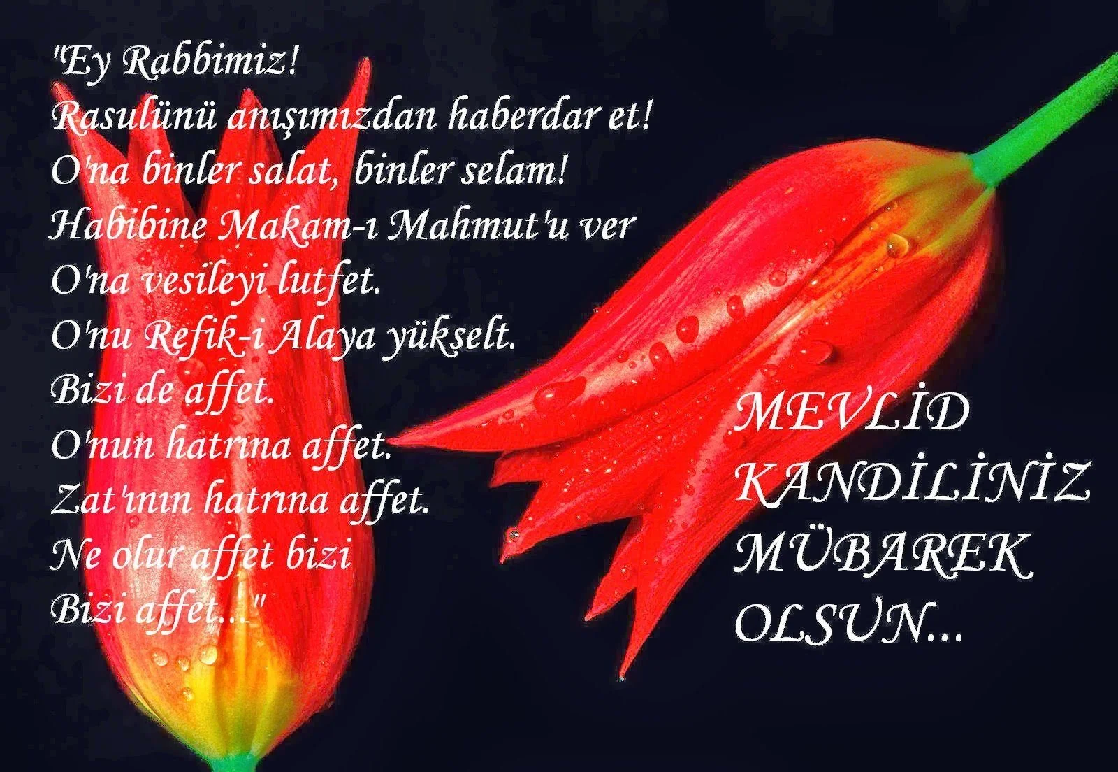 Resimli Mevlid Kandili mesajları 2020 en güzel kısa, uzun