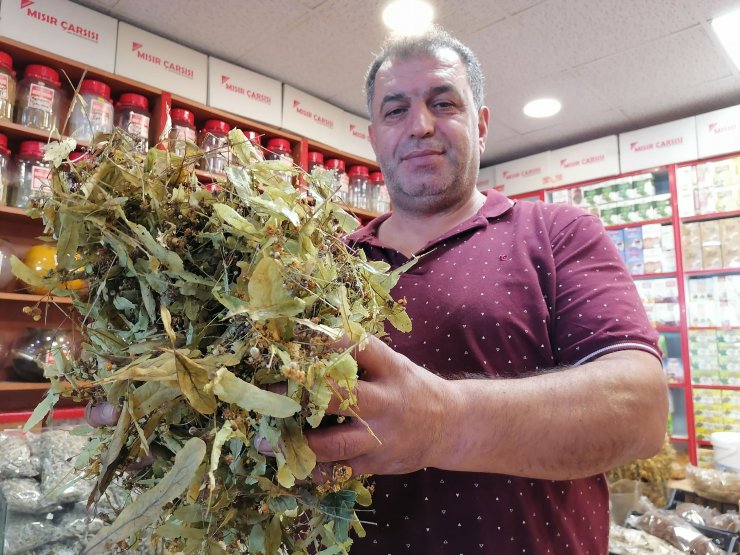 Ihlamura talep artınca fiyattıda yüzde 50 arttı!