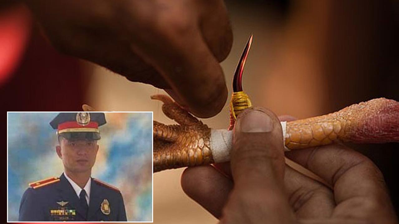 Yasadığı horoz dövüşü baskınında horoz polisi öldürdü