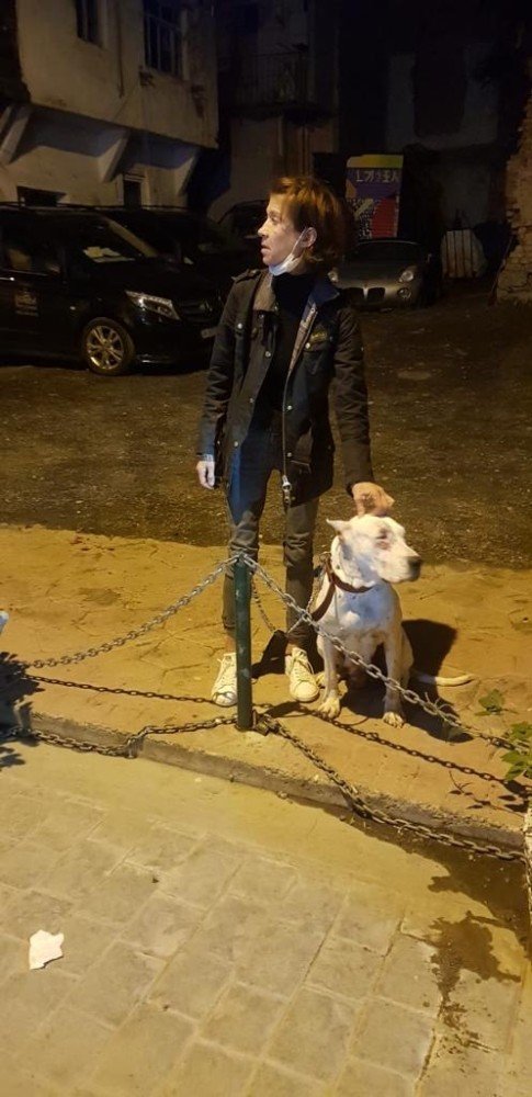 Amerikalı kadının Dogo Argentino cinsi köpeği kediyi öldürdü, mahalleli isyan etti!