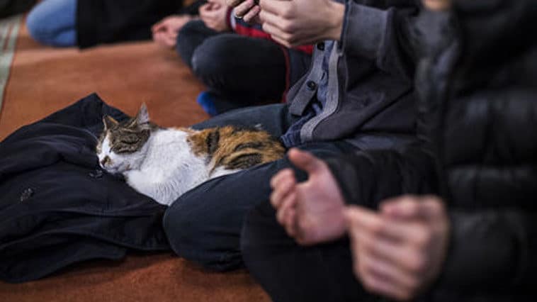 Namazdan sonra okunacak dua ve tesbih nelerdir?