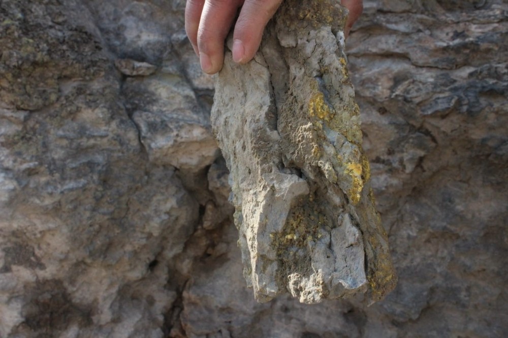 Ağrılı işsiz gençlere, yeni geçim kaynağı müjdesi!