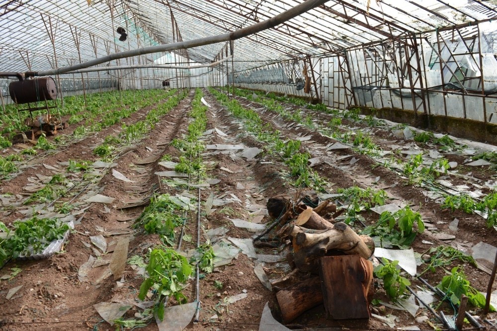 Kumluca’da fırtına sonrası arazi hasar tespiti sona erdi