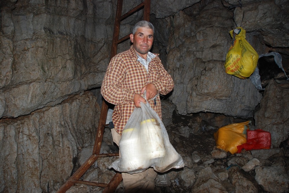 Yazın siparişini aldıkları peyniri, 40 metrelik kar obruklarında muhafaza ediyor