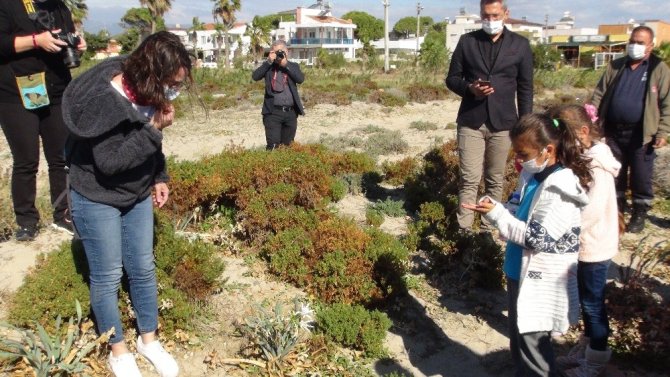 Bu çiçeği koparmanın cezası 73 bin 747 lira ceza! Şaka değil, gerçek!