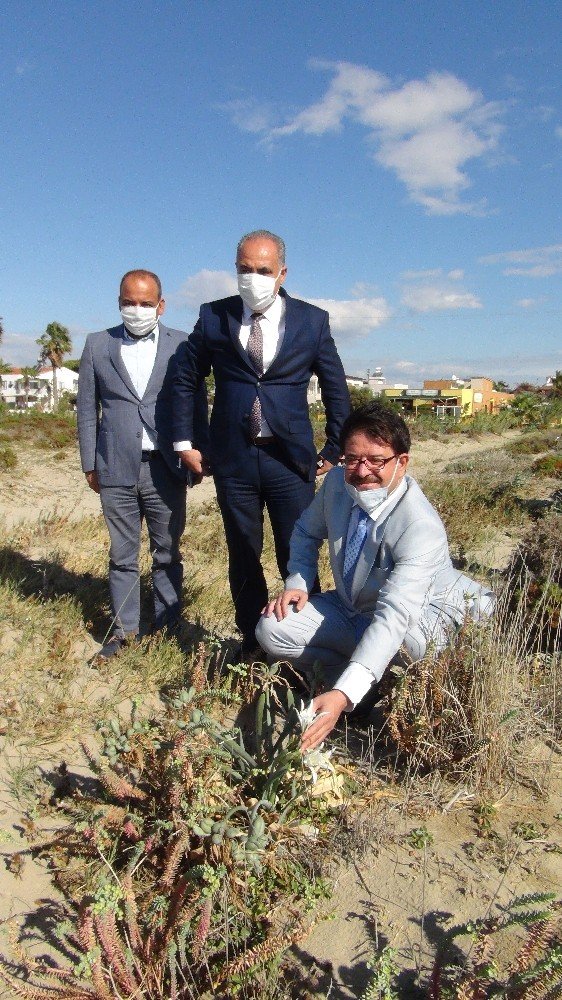 Bu çiçeği koparmanın cezası 73 bin 747 lira ceza! Şaka değil, gerçek!