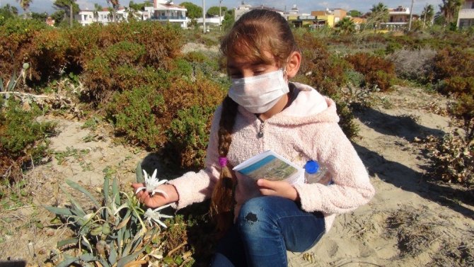 Bu çiçeği koparmanın cezası 73 bin 747 lira ceza! Şaka değil, gerçek!