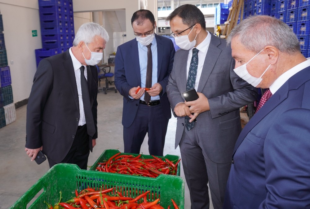 Finike toptancı halinde sezon törenle açıldı