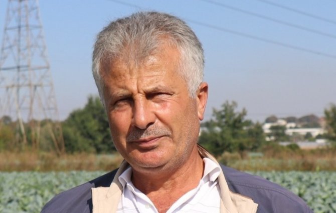 Marul çiftçileri marul fiyatından memnun!