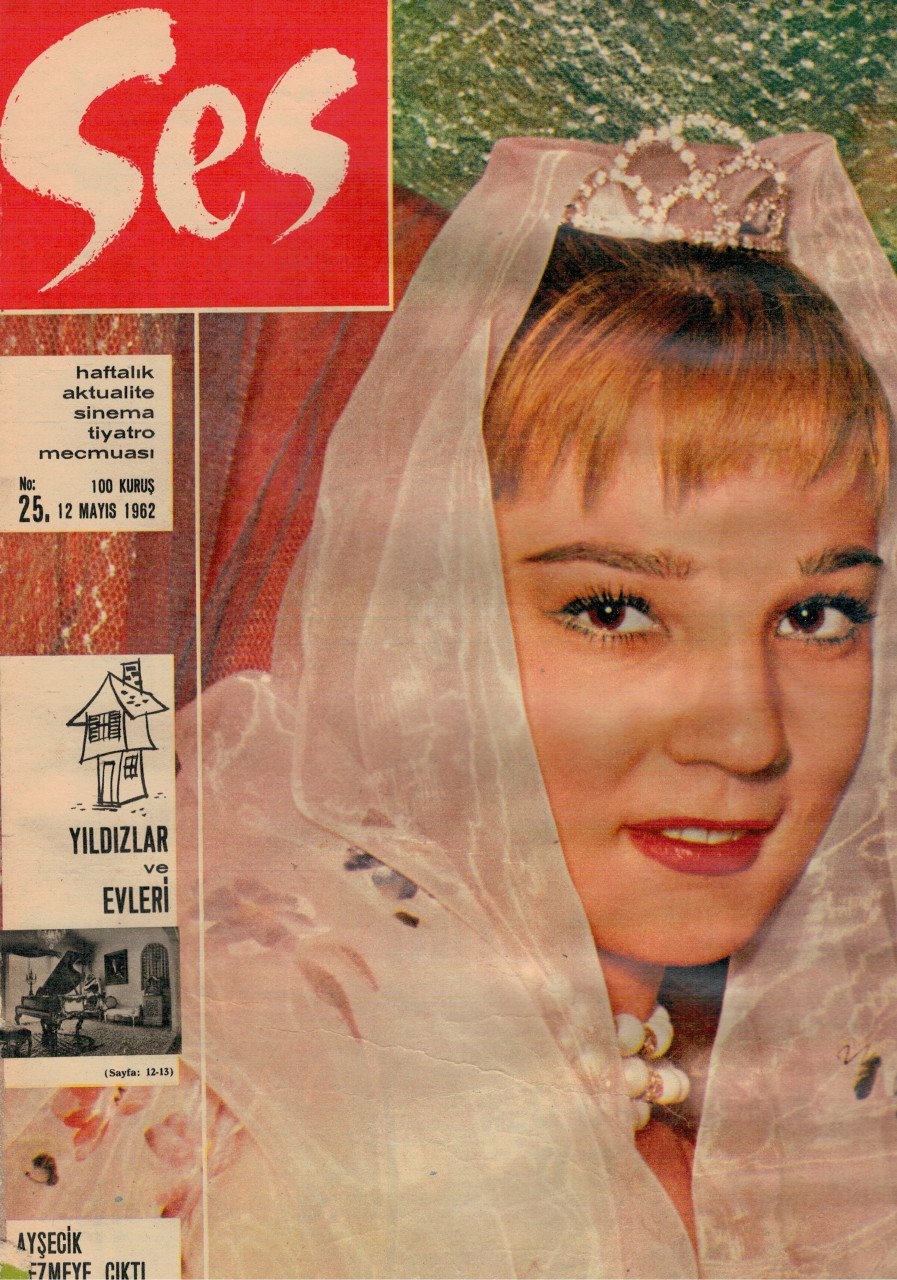 Ünlü oyuncu Nilüfer Aydan'a Cumhurbaşkanı Erdoğan'a hakaretten hapis istemi