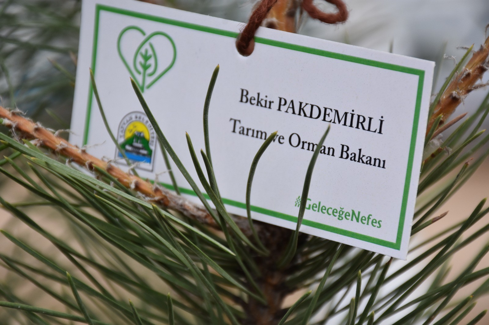 Erdoğan, Ağaçlandırma Gününde konuştu: Hedefimiz 7 milyar fidanın toprakla buluşmasını sağlamaktır