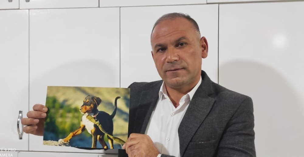 Köpeğini bulana arabasını ödül verecek!