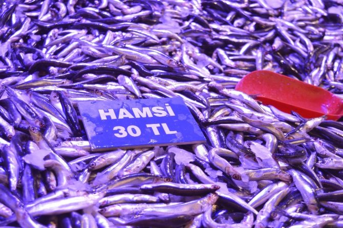 Hamsi fiyatlarında büyük artış! Kilosu birden yüzde 50 zamlandı