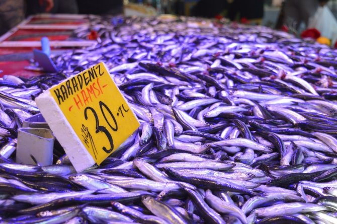 Hamsi fiyatlarında büyük artış! Kilosu birden yüzde 50 zamlandı