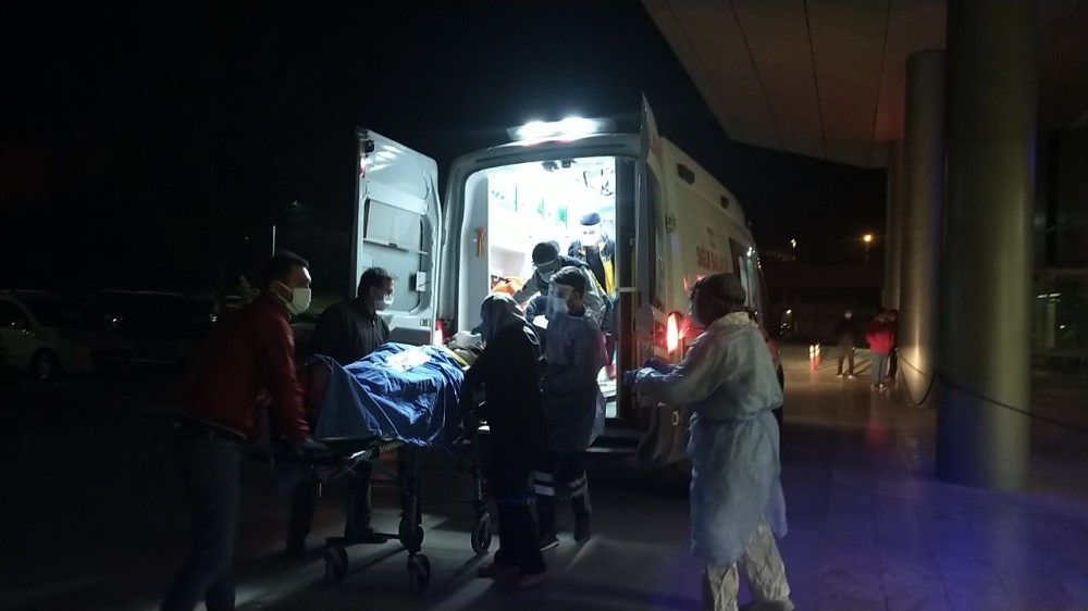 Kediye çarpmamak için önce konteynera sonra direğe çarptı