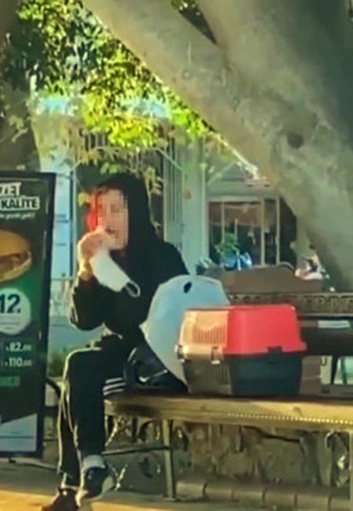 Antalya'da bir kadın beslediği hamsterı tokatlayıp ısırmaya çalıştı!