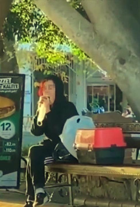 Antalya'da bir kadın beslediği hamsterı tokatlayıp ısırmaya çalıştı!