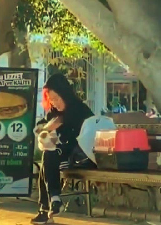 Antalya'da bir kadın beslediği hamsterı tokatlayıp ısırmaya çalıştı!