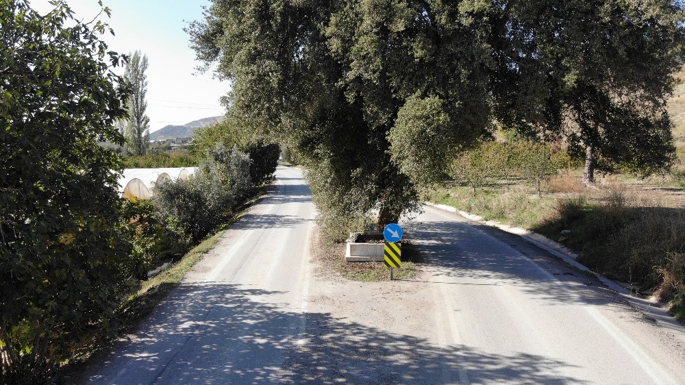 Ana yolda bir anda karşılarına mezar çıkan vatandaşlar, şaşkınlığını koruyamıyor!