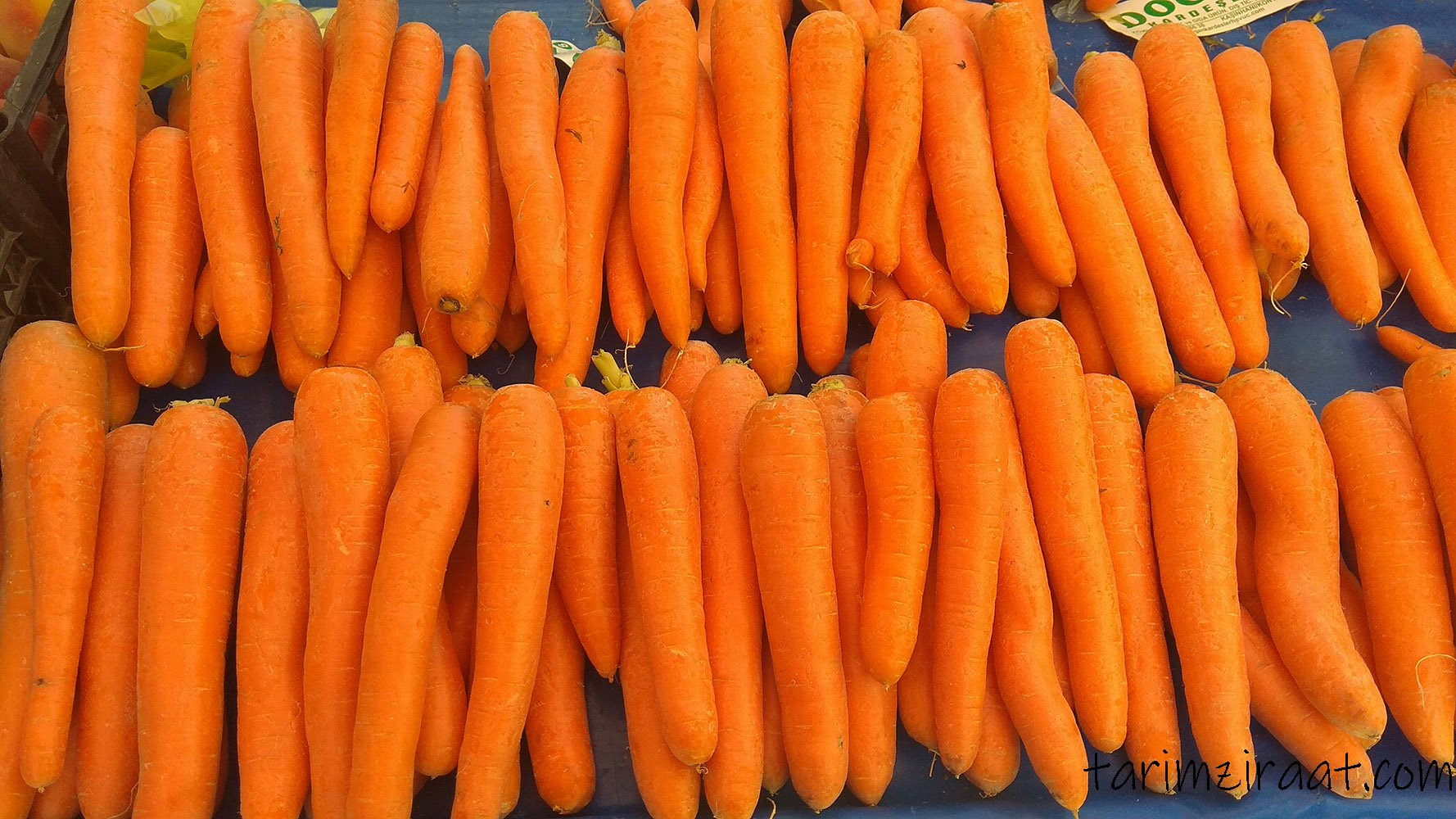 Hangi ağrıya ne iyi geliyor? Baş ağrısı, diş çürümesi, ülser ve kolestrole ne iyi gelir?