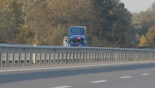 Akyazı'da Zehirlenen ineği kesen şahıslar yakalandı