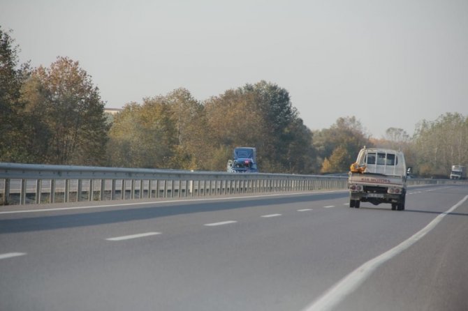 Akyazı'da Zehirlenen ineği kesen şahıslar yakalandı