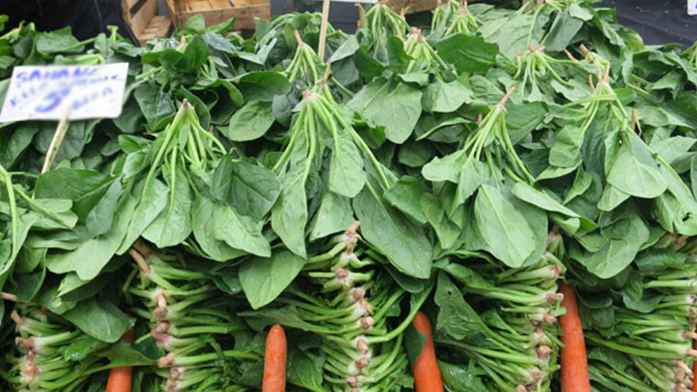 Hangi ağrıya ne iyi geliyor? Baş ağrısı, diş çürümesi, ülser ve kolestrole ne iyi gelir?