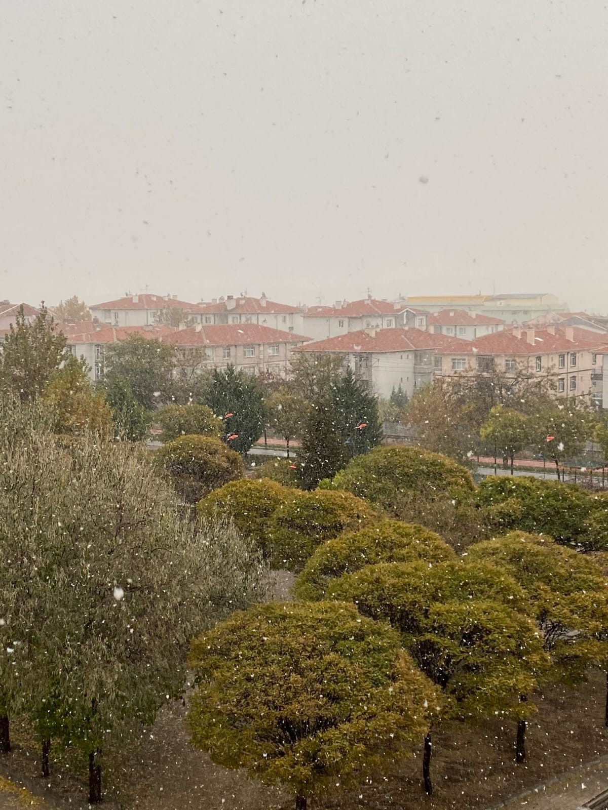 Ankara'da yılın ilk karı Polatlı ilçesinde yağdı
