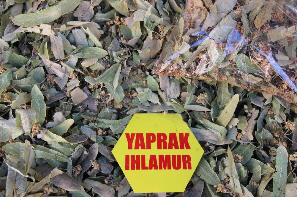 Ihlamur fiyatları uçtu, vatandaş gramla alıyor