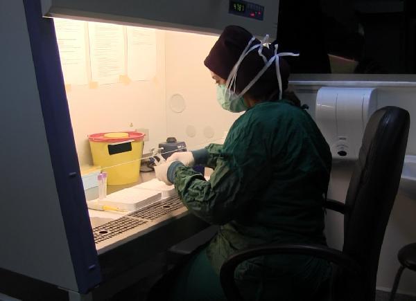 Nefesler tutuldu, gözler gönüllülerde: Aşı denemeleri başladı