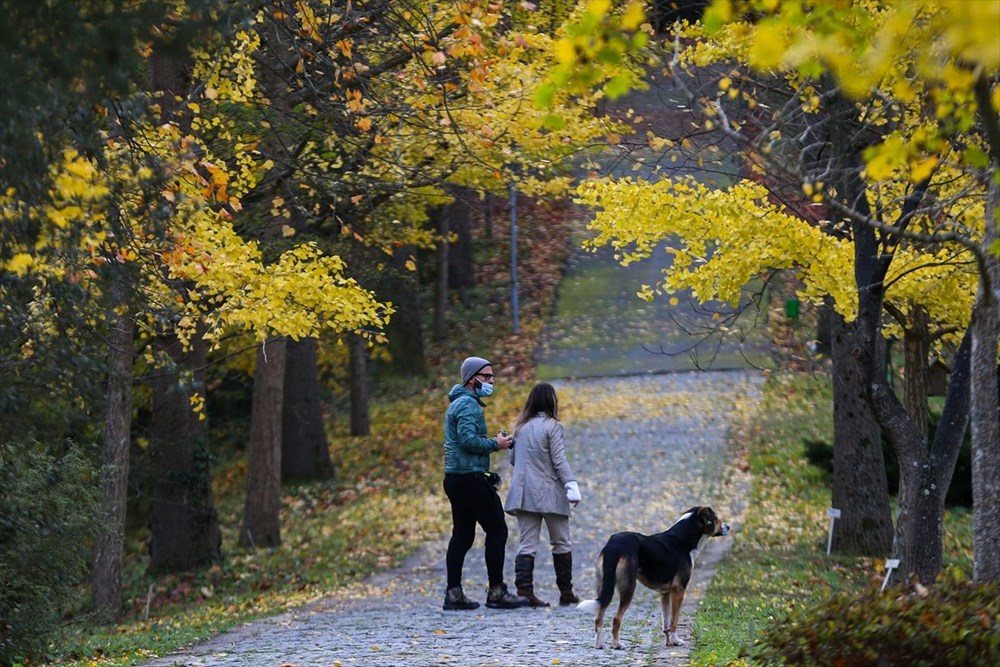 Atatürk Arboretumu nedir? Nerede ve nasıl gidilir? Atatürk Arboretumu giriş ücreti 2020
