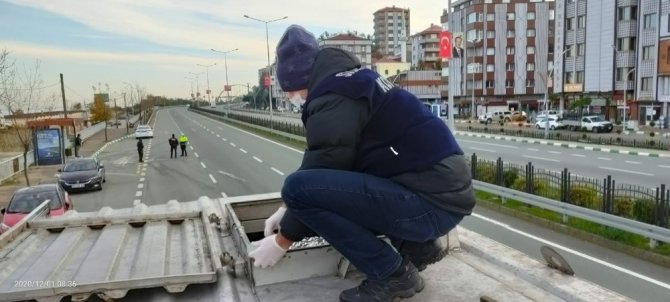 Rize’de boy ve ağırlık sınırlanmasına takılan 10 ton hamsiye el konuldu