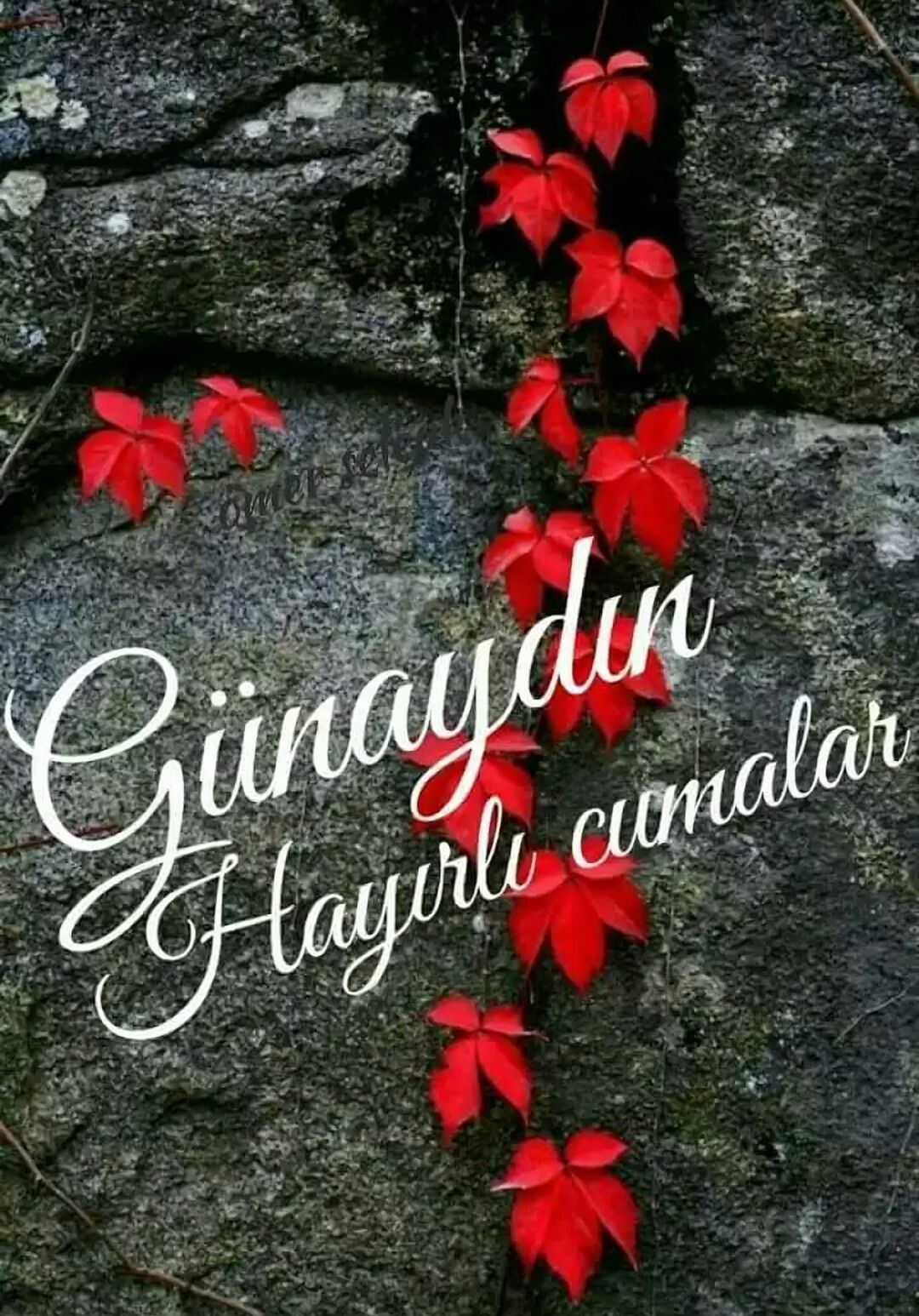 Günaydınlı cuma mesajları / En yeni, en güzel cuma mesajları resimli, yazılı, ayetli 2021