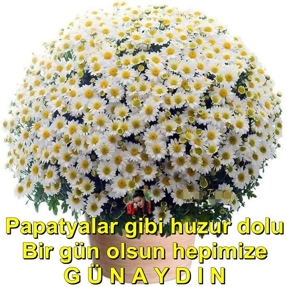 Günaydınlı cuma mesajları / En yeni, en güzel cuma mesajları resimli, yazılı, ayetli 2021