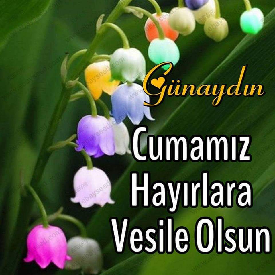 Günaydınlı cuma mesajları / En yeni, en güzel cuma mesajları resimli, yazılı, ayetli 2021