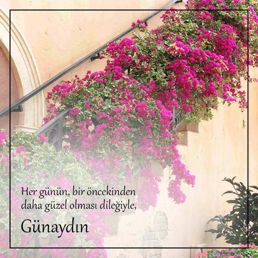 Günaydınlı cuma mesajları / En yeni, en güzel cuma mesajları resimli, yazılı, ayetli 2021