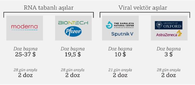 Çin aşısı mı yoksa Alman aşısı mı? Alman aşısında son durum ne?