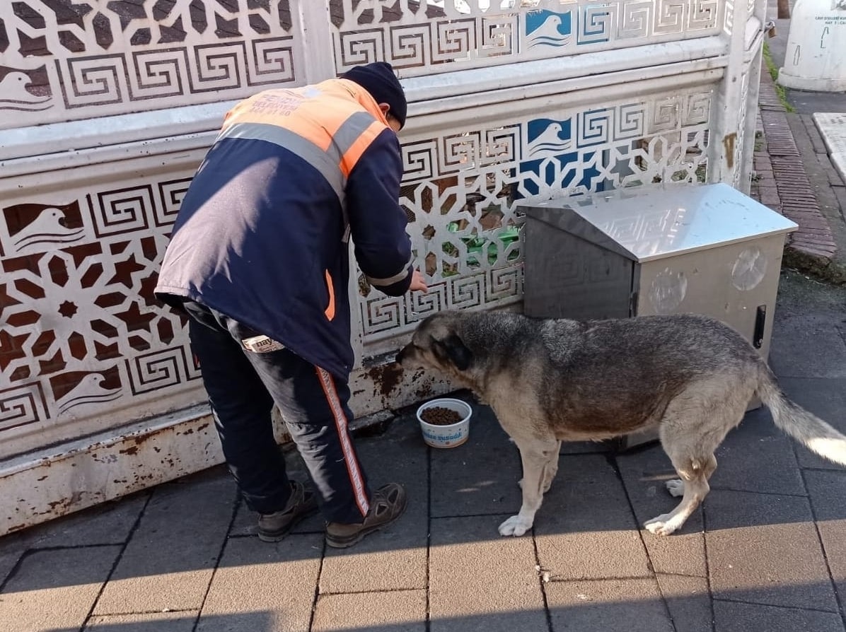 Pendik Belediyesi'nden sokağa çıkma yasağında hafta sonu mesaisi!
