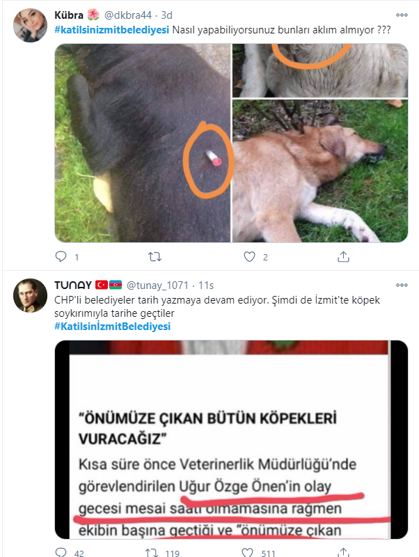 Kocaeli İzmit'te köpeklerin belediye tarafından öldürülmesi sosyal medyayı ayağa kaldırdı