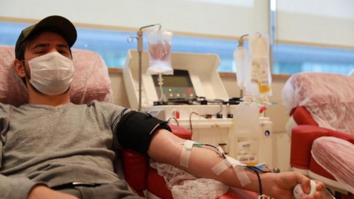 İmmün plazma nedir? Nasıl verilir? İmmün Plazma bağışı şartları, zararları nelerdir? Kimler verebilir?