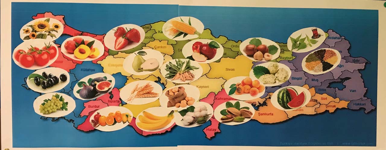 Yerli Malı Haftası nedir? Yerli Malı Haftası ne zaman? Yerli Malı Haftası şiirleri, sözleri ve kompozisyonları