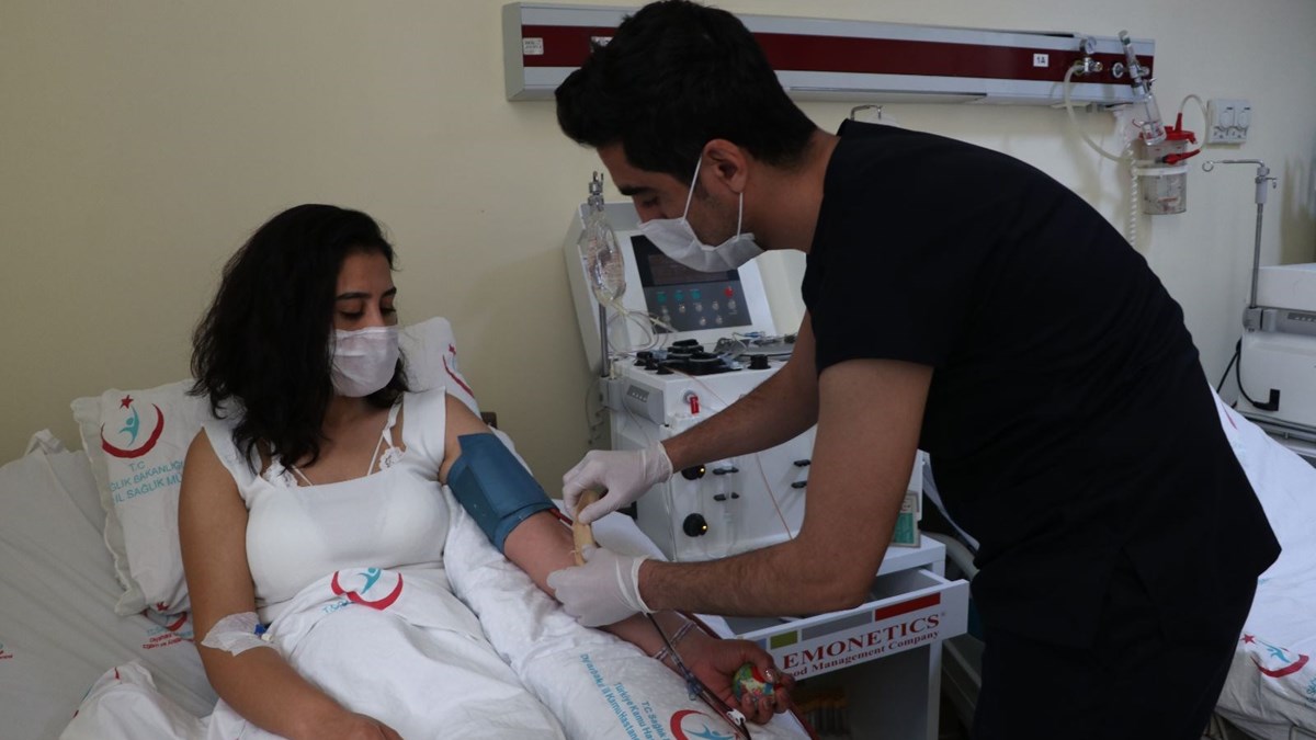 İmmün plazma nedir? Nasıl verilir? İmmün Plazma bağışı şartları, zararları nelerdir? Kimler verebilir?