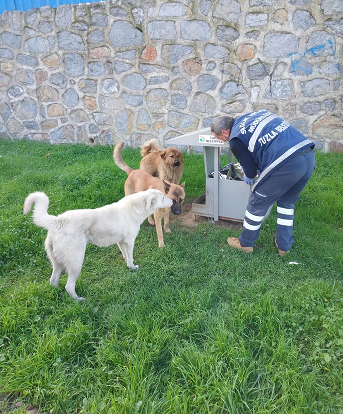 Sokağa çıkma yasağında Tuzla'da sokak hayvanları unutulmadı!